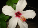 DSC09672