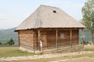 vacanta 221