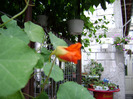 DSC06769
