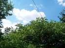 100_9719