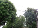 100_9762