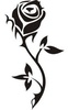 tatuaje-tribal-trandafir