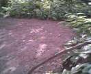IMG0051A