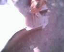 IMG0062A