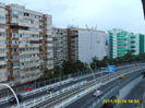 S5003119