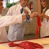 PDVD_140
