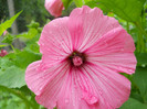 DSCN1502