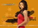 Parul-Chauhan-Wallpaper-005