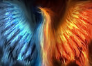 Phoenix_by_o_eternal_o