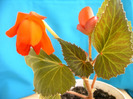 IMAG0015