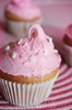 cupcake pink