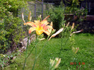DSC00384