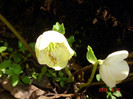 DSC00430