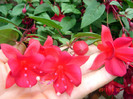 DSC00445