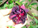 DSC00448