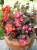 DSC00490