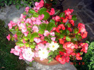 DSC00494