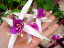 DSC00501