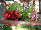 DSC00503