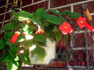 DSC00514