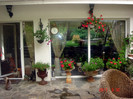 DSC00520
