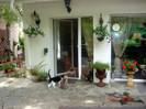 DSC00521