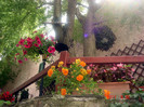 DSC00523