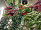 DSC00524