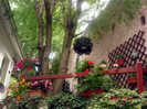 DSC00525