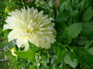 DSC02034