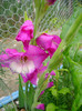 DSC02039