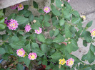 P1080256