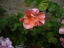 P1080263