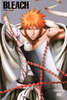 bleach_ichigo1346