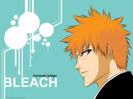 images (20)