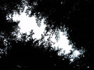 IMAG0004