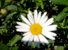 IMAG0013