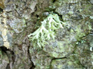 IMAG0020