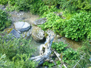 IMAG0026