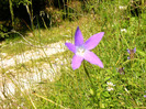 IMAG0055