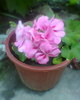 Fotogr.0365