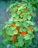 Fotogr.0400