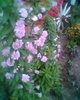 Fotogr.0406