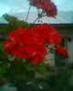 Fotogr.0415