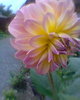 Fotogr.0416