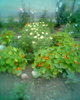 Fotogr.0420