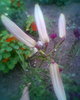 Fotogr.0424