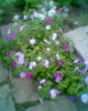Fotogr.0434