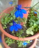Fotogr.0436