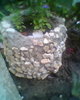 Fotogr.0440